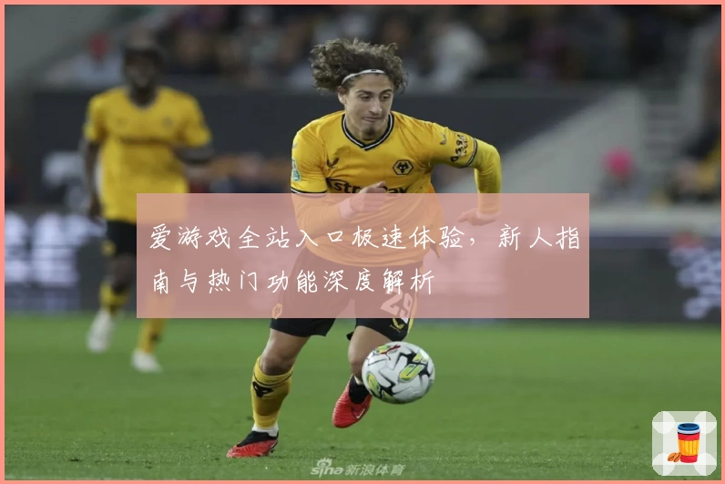 爱游戏全站入口极速体验，新人指南与热门功能深度解析